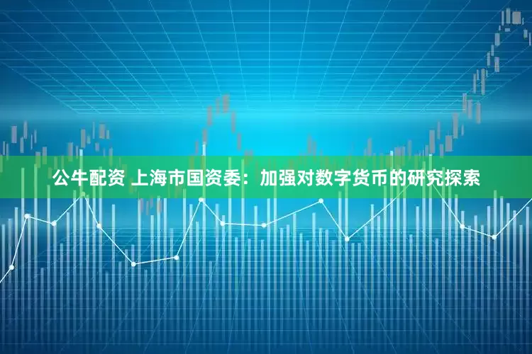公牛配资 上海市国资委：加强对数字货币的研究探索