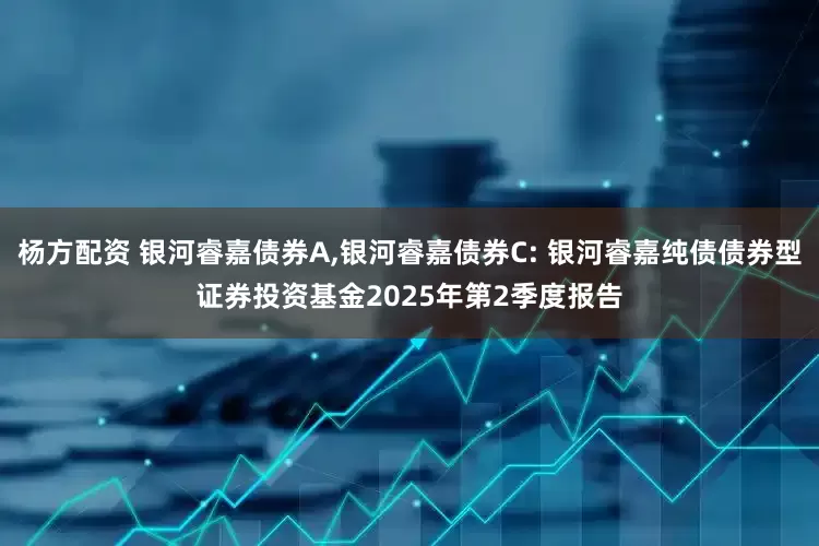 杨方配资 银河睿嘉债券A,银河睿嘉债券C: 银河睿嘉纯债债券型证券投资基金2025年第2季度报告
