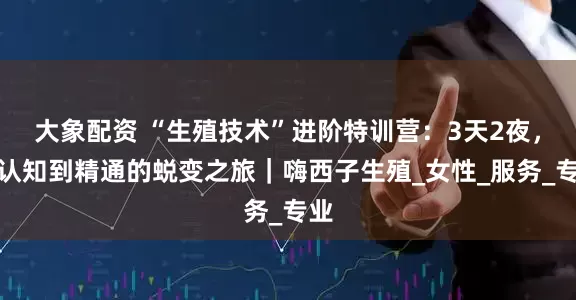 大象配资 “生殖技术”进阶特训营：3天2夜，从认知到精通的蜕变之旅｜嗨西子生殖_女性_服务_专业