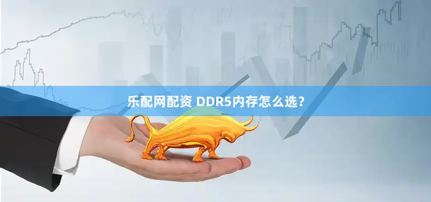 乐配网配资 DDR5内存怎么选?